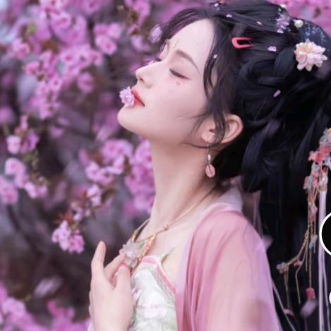 林妹妹