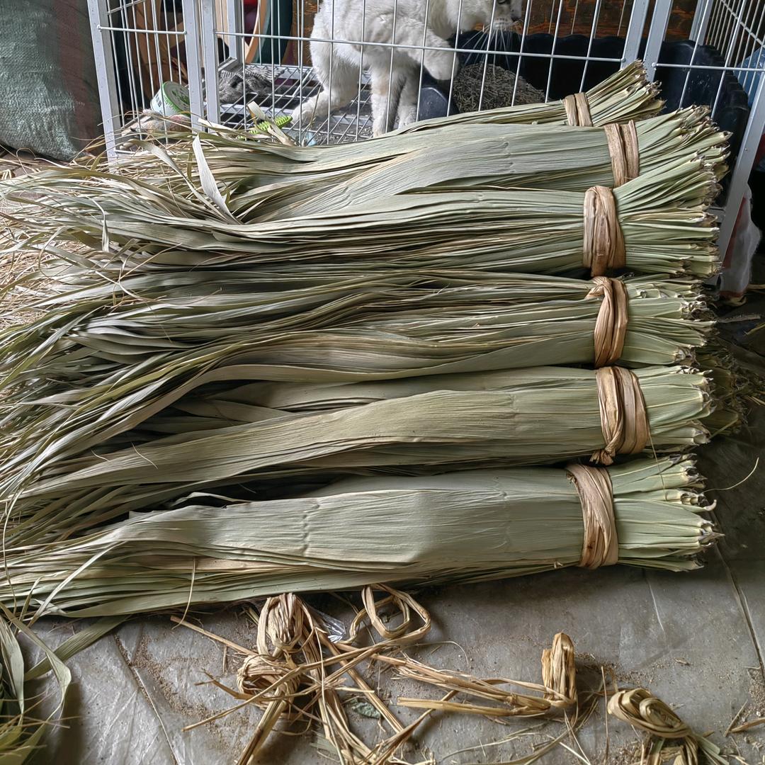 给你晴天般的微笑