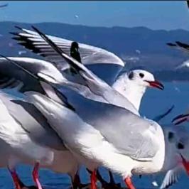 谁对我好我就对谁好