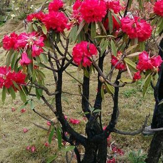 人心换人心你真我就真