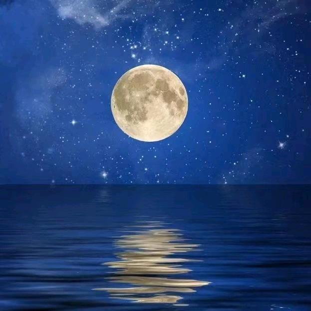 三丰聊星盘