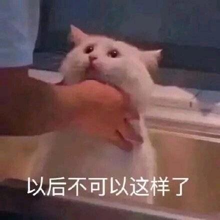 请勿干涉