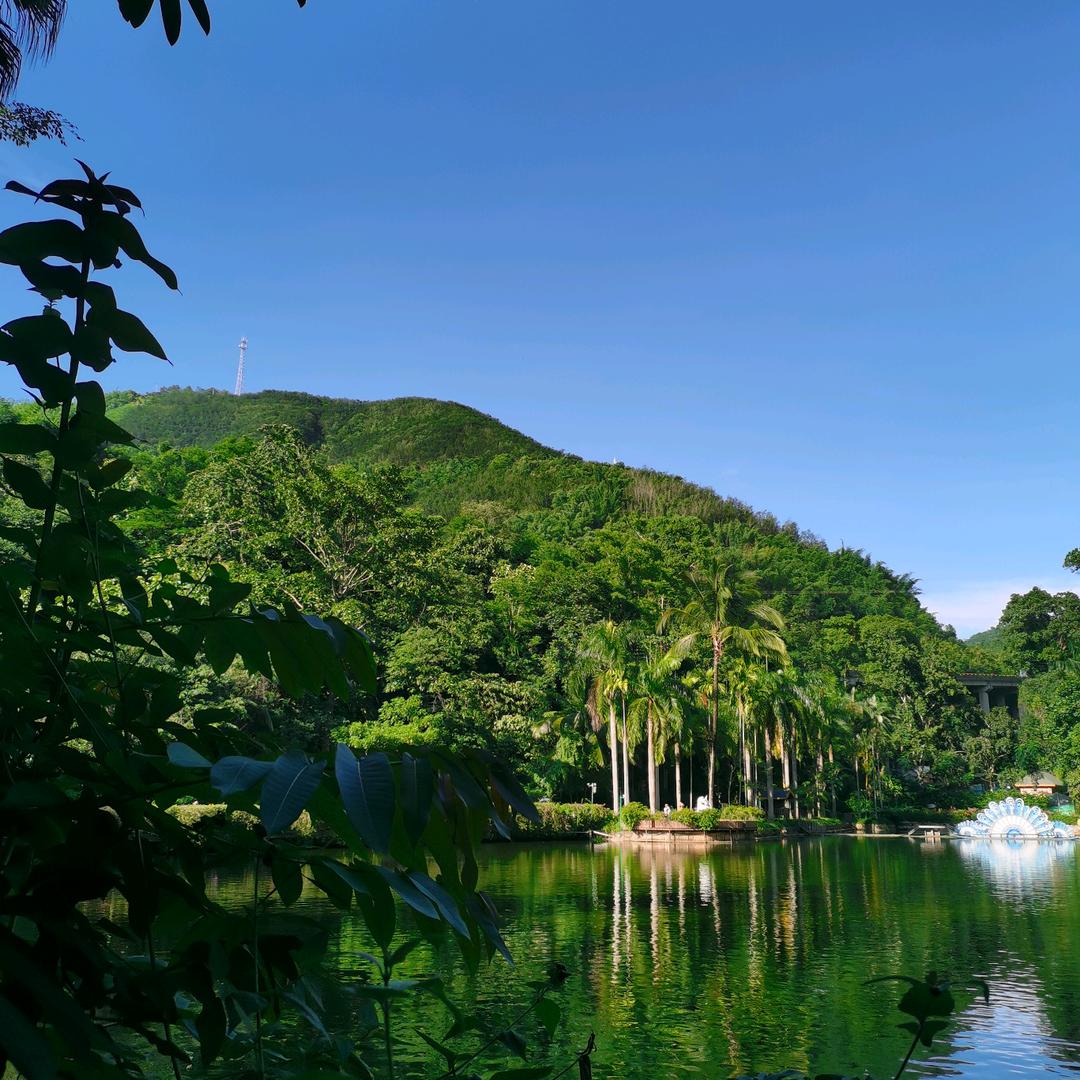 静静妈（好物在橱窗）