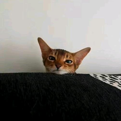 水枪灌尿滋谁谁叫