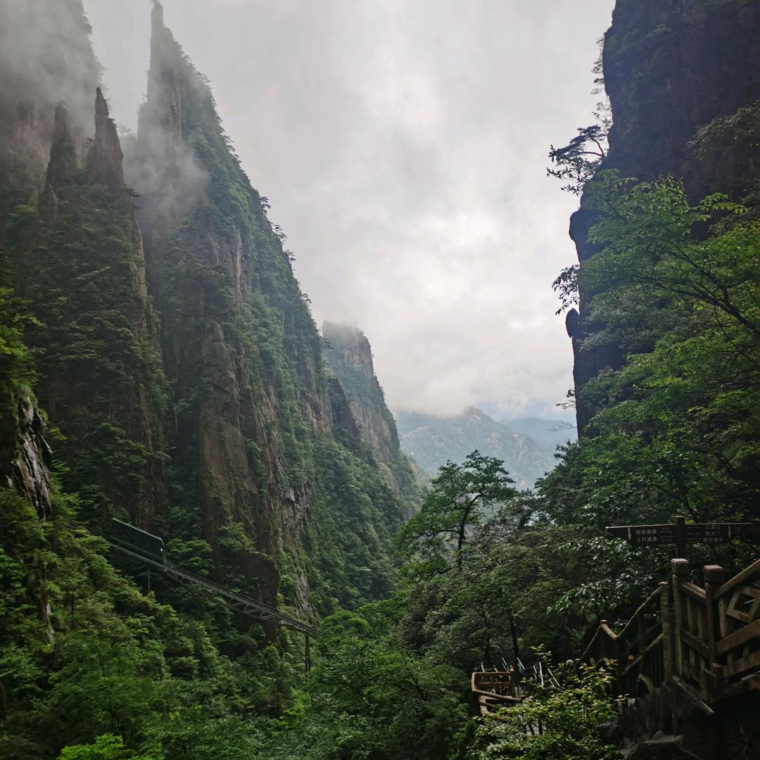 我们永远是青年