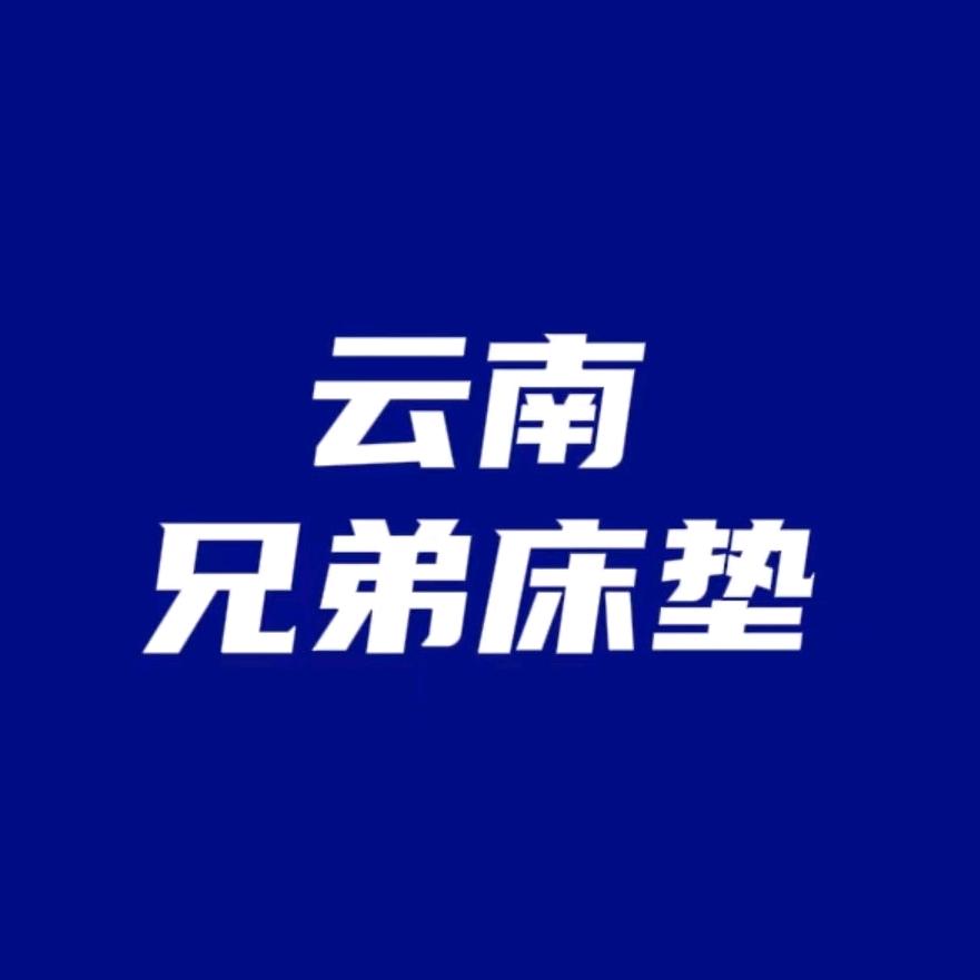 新平九号家居（兄弟床垫工厂直营店）