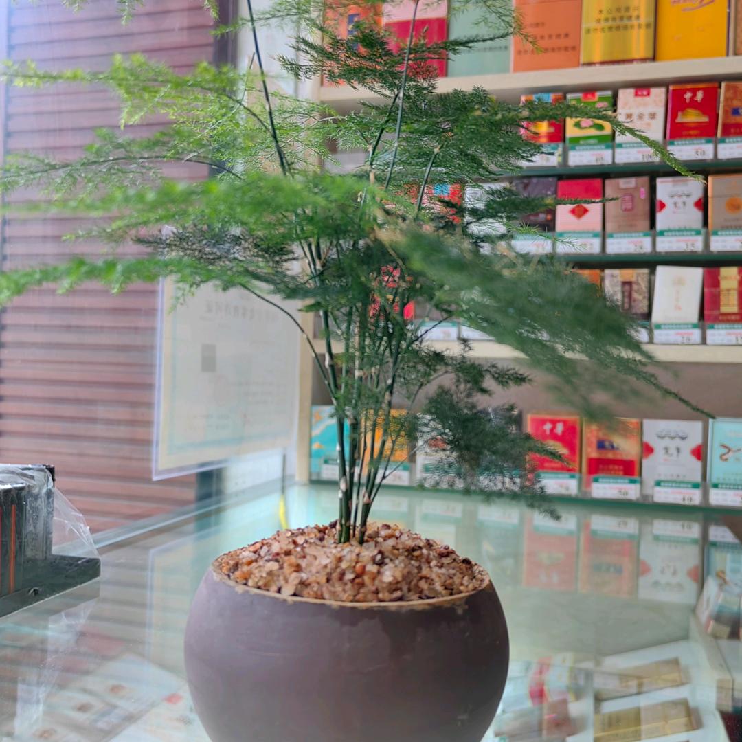 复立茶庄