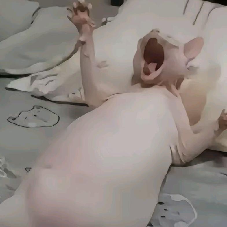 大葱蘸大酱
