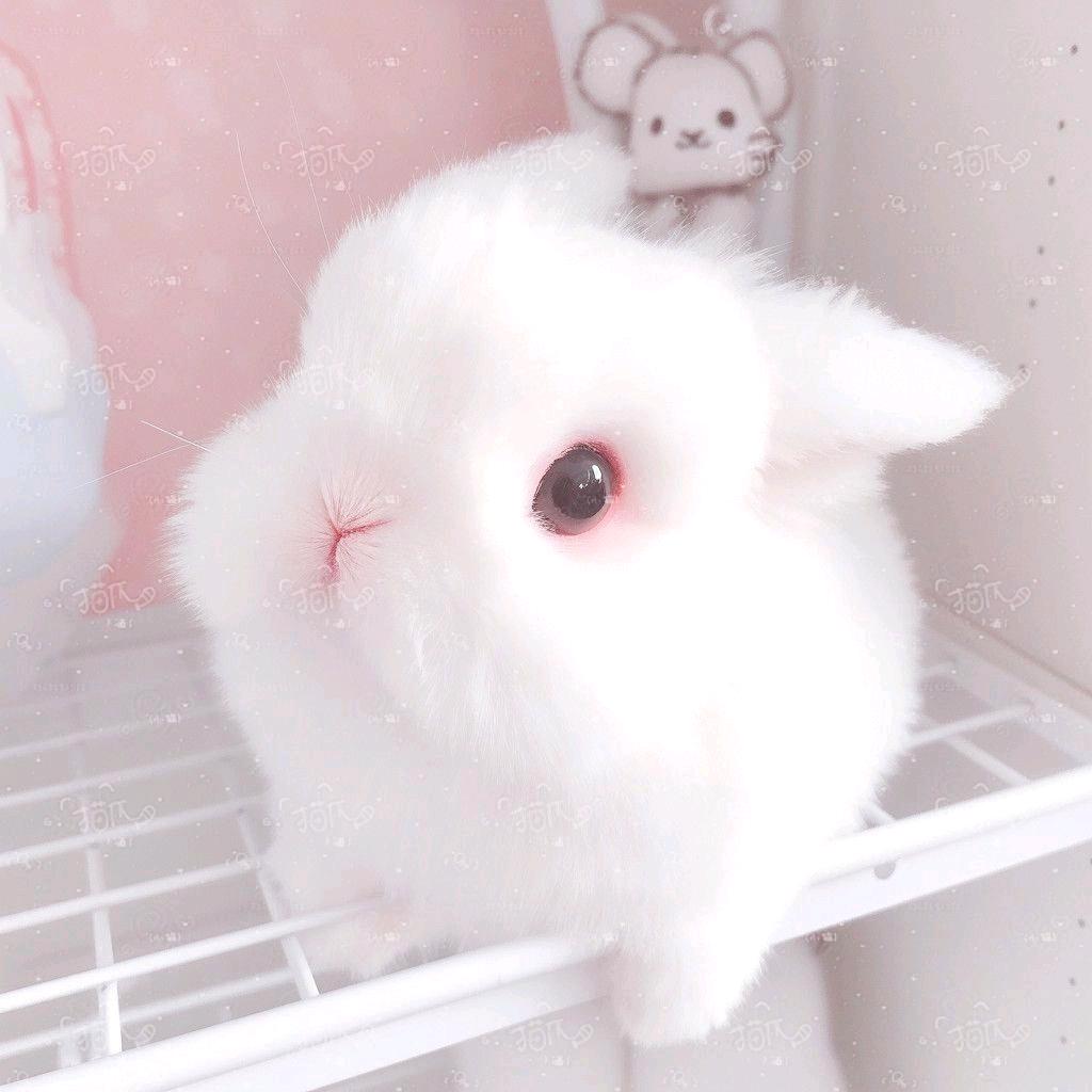 小宅郁