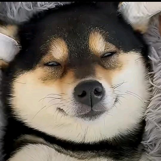 这一刻