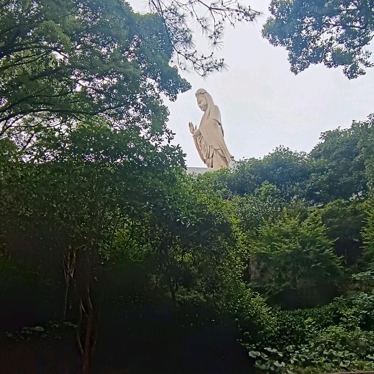 时光不语