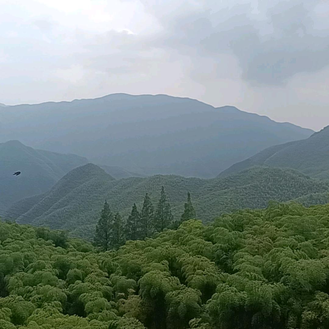 简行