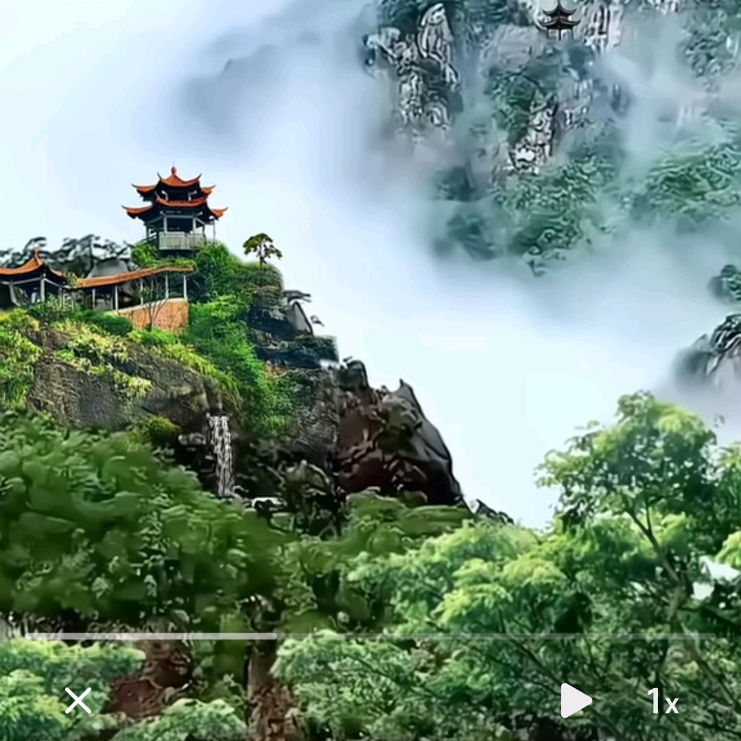 奶猫小财迷
