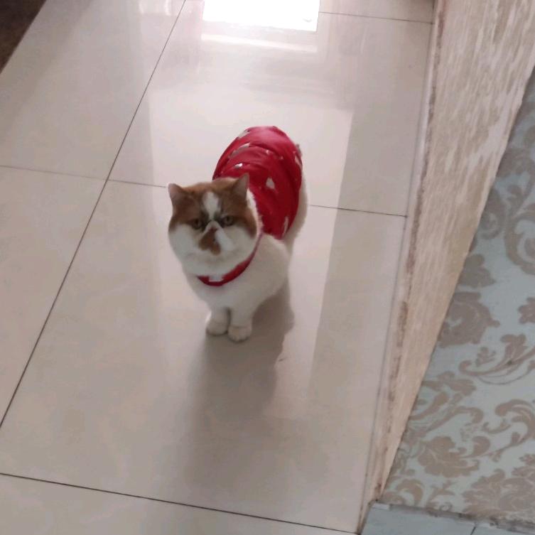 触不到的余光