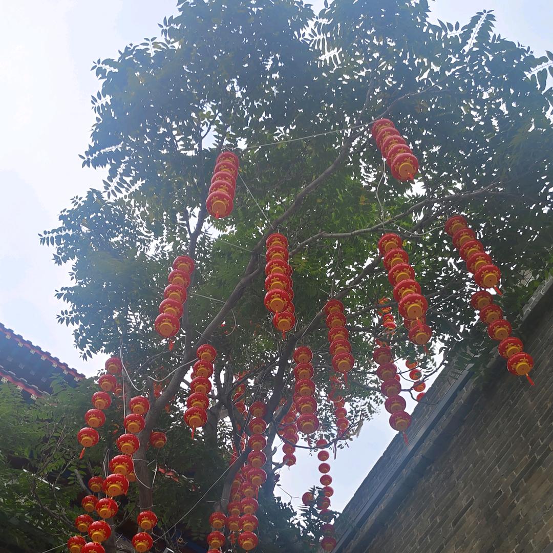 辣椒