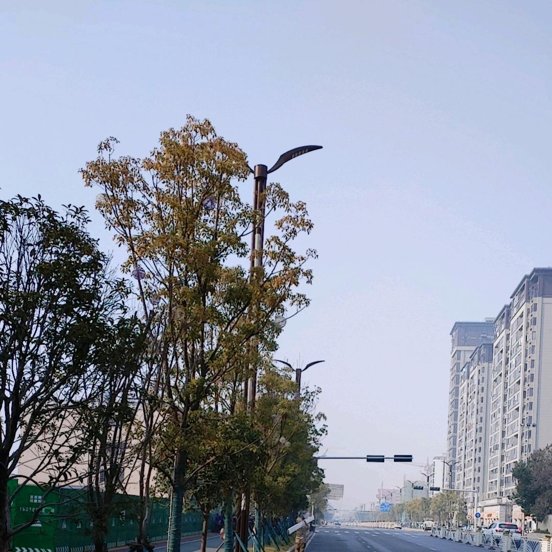 随心所欲