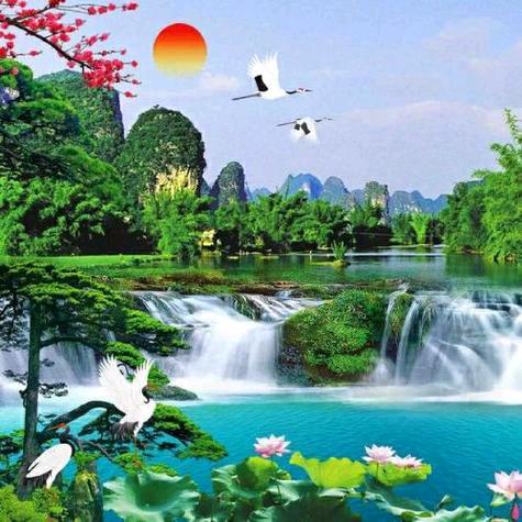 跟着宝利学裸奔