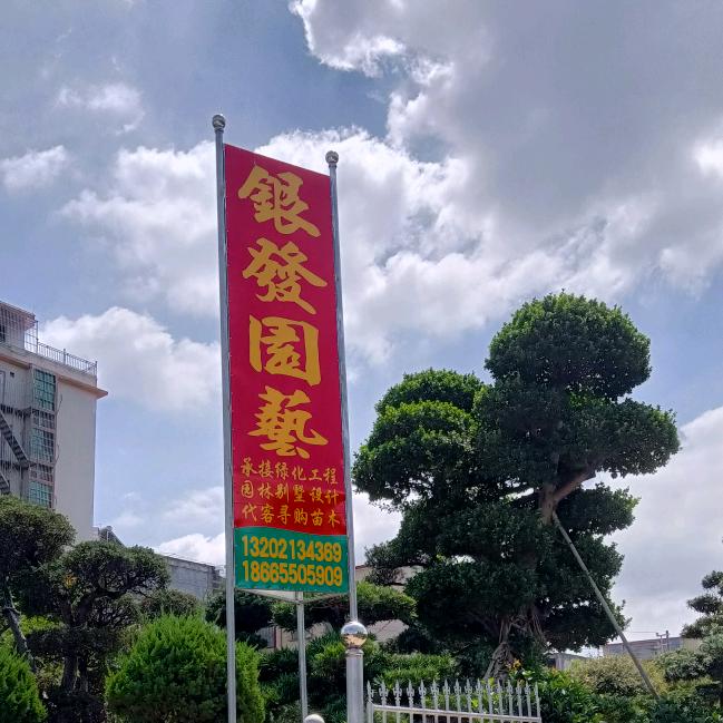 银发园艺