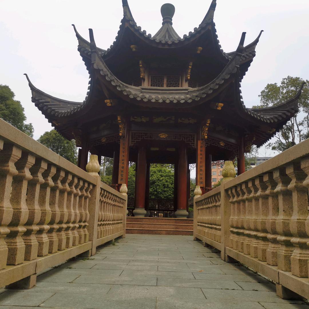 小黄毛