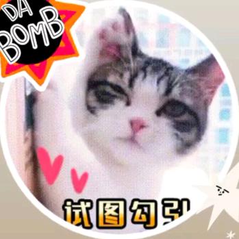 ✨💓ꦿ᭄᪲凯ཽ٭哥ꦿ້℘࿐ᩚ