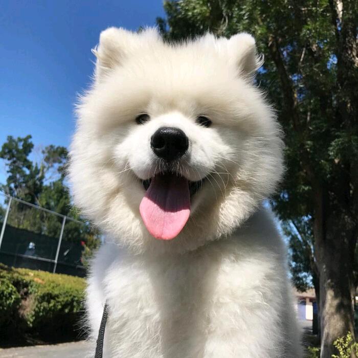 会散
