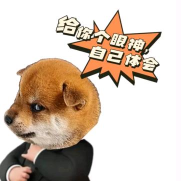 @油贰