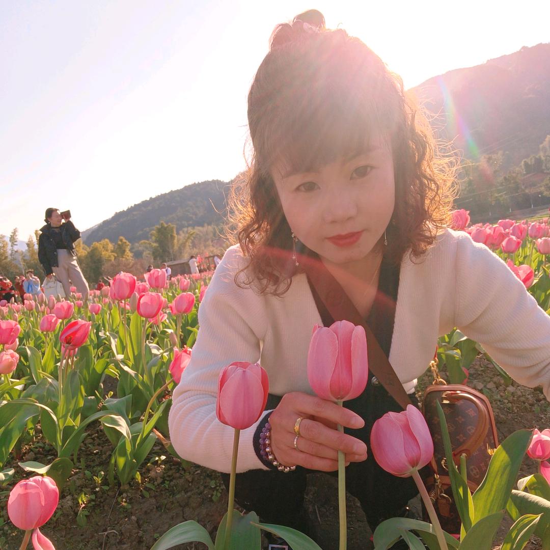🌸远嫁🉐媛 媛🌸🐰