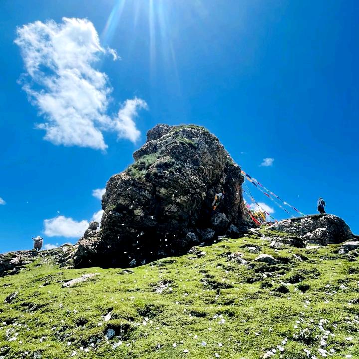 小石诚信土豆