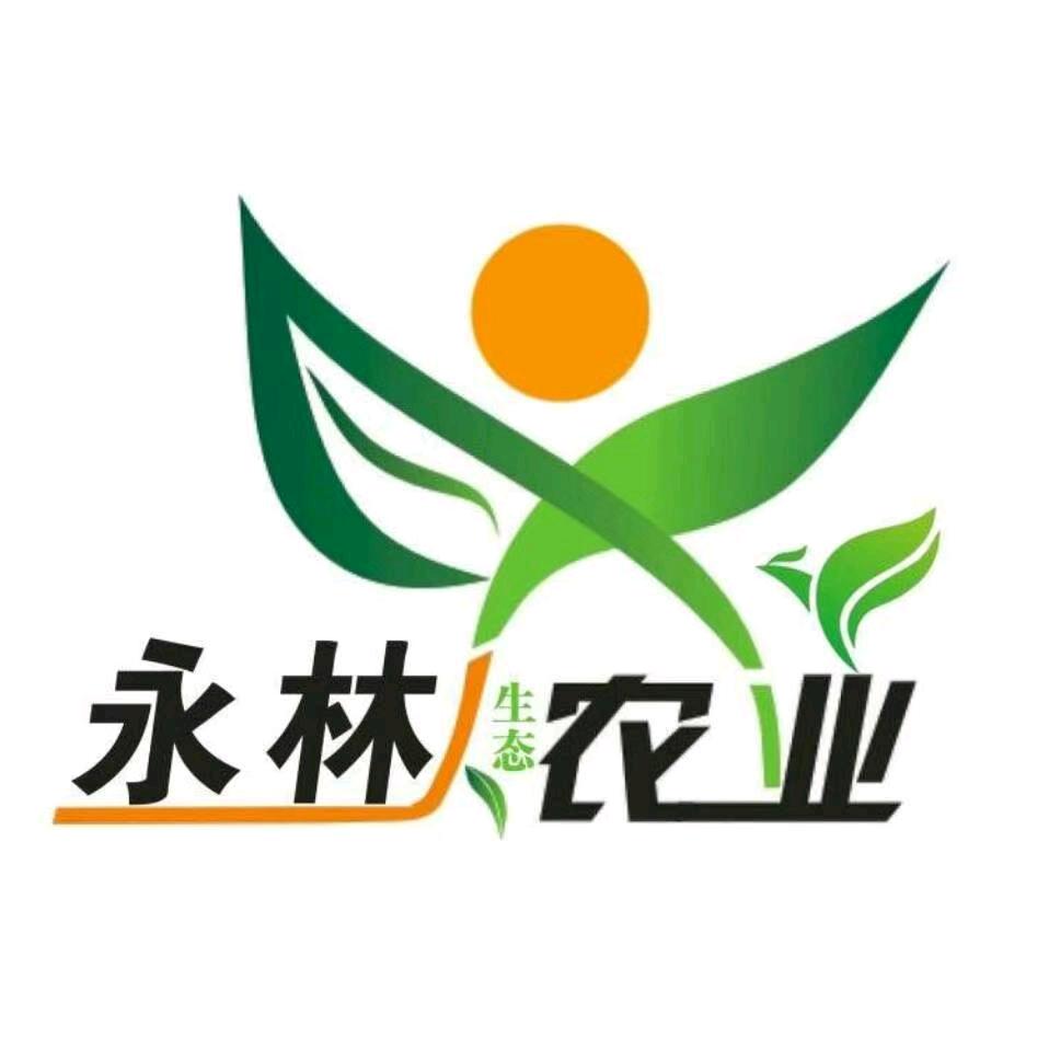 闽A在闽G卖鸡苗可全国发货-永林生态农业