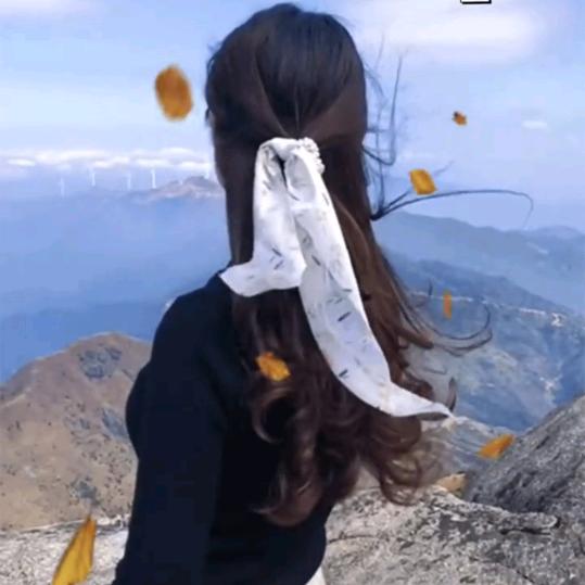 向阳花