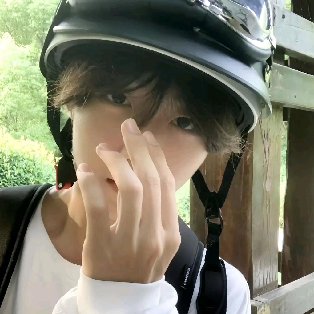 阿尔卑斯山的猴儿