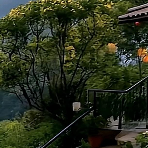 说了算