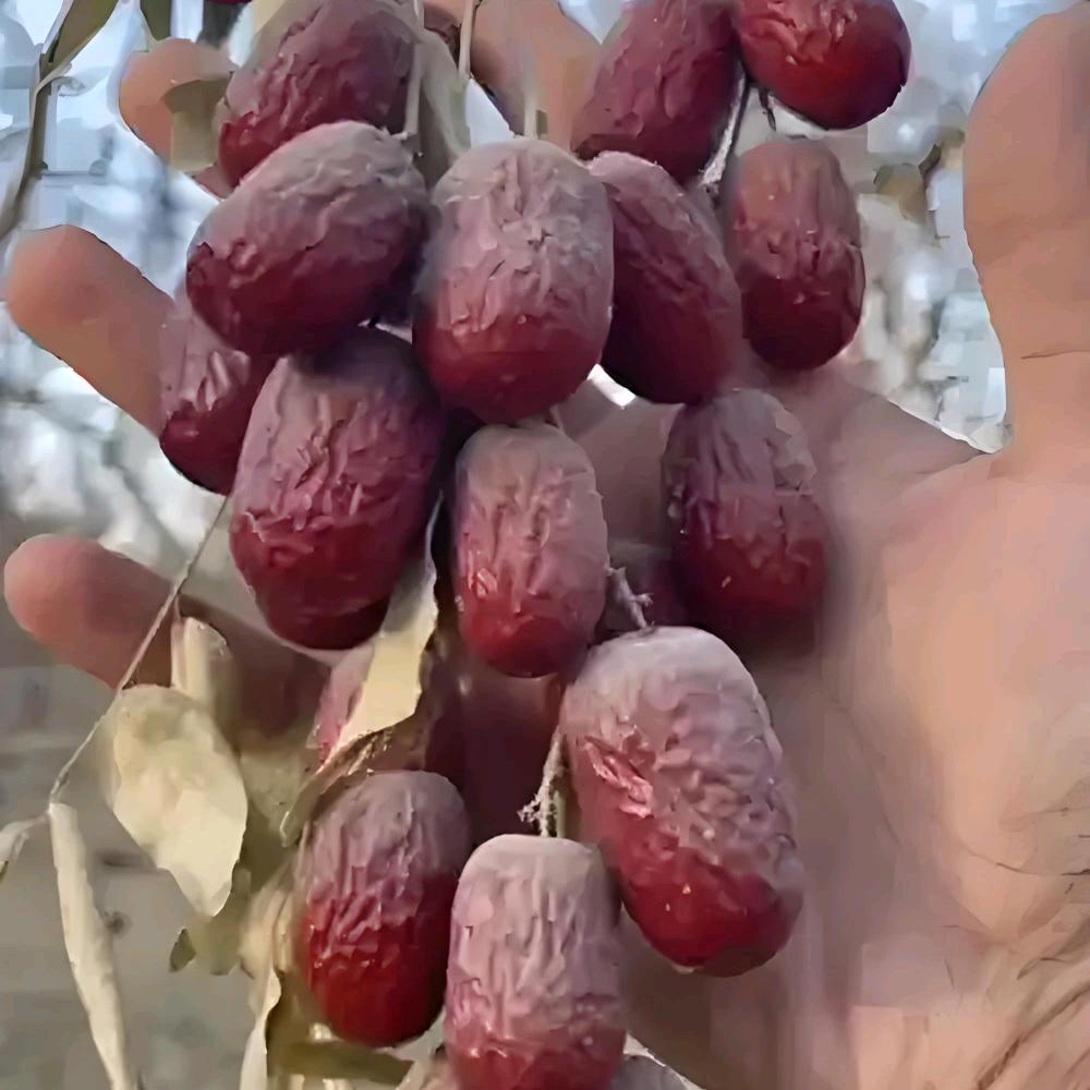 盛立食品生活坊