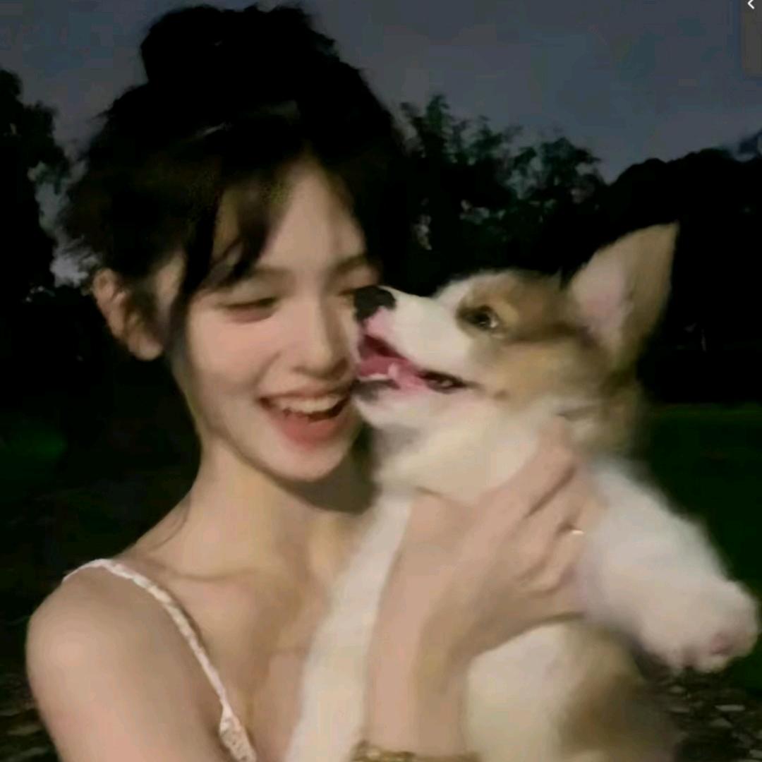 🌈Serendipity🐾