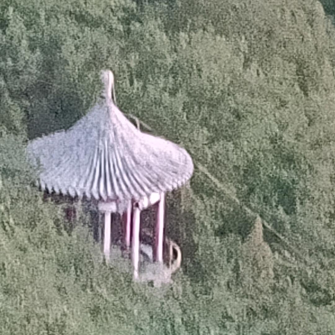 我爱吃鱼
