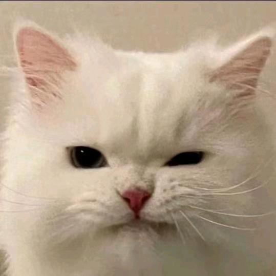 睡前故事集❤️