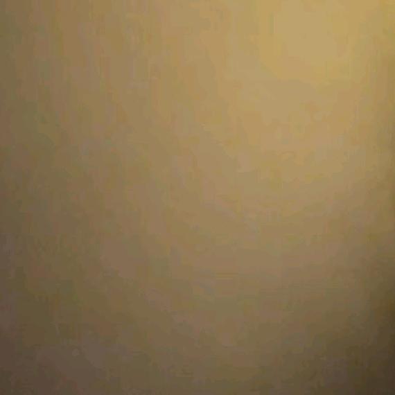 17001129450