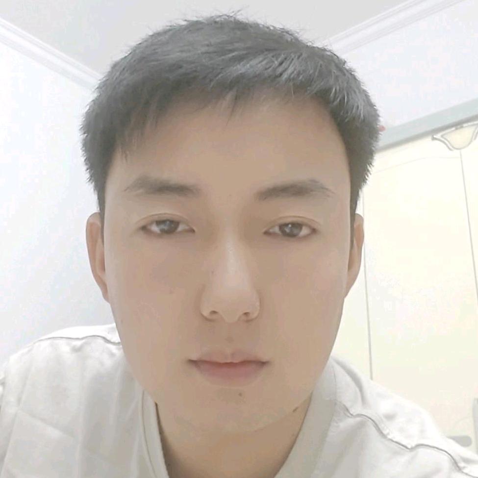 仙桃海鸥