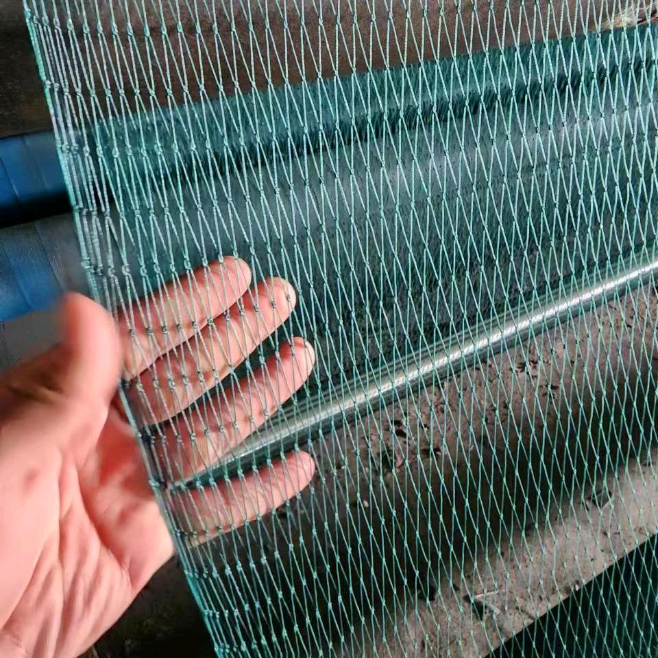 无棣天网防鸟网网具有限公司防鸟网