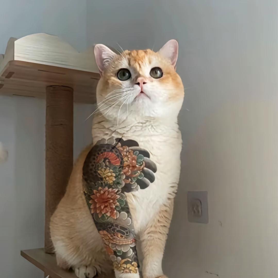 止损