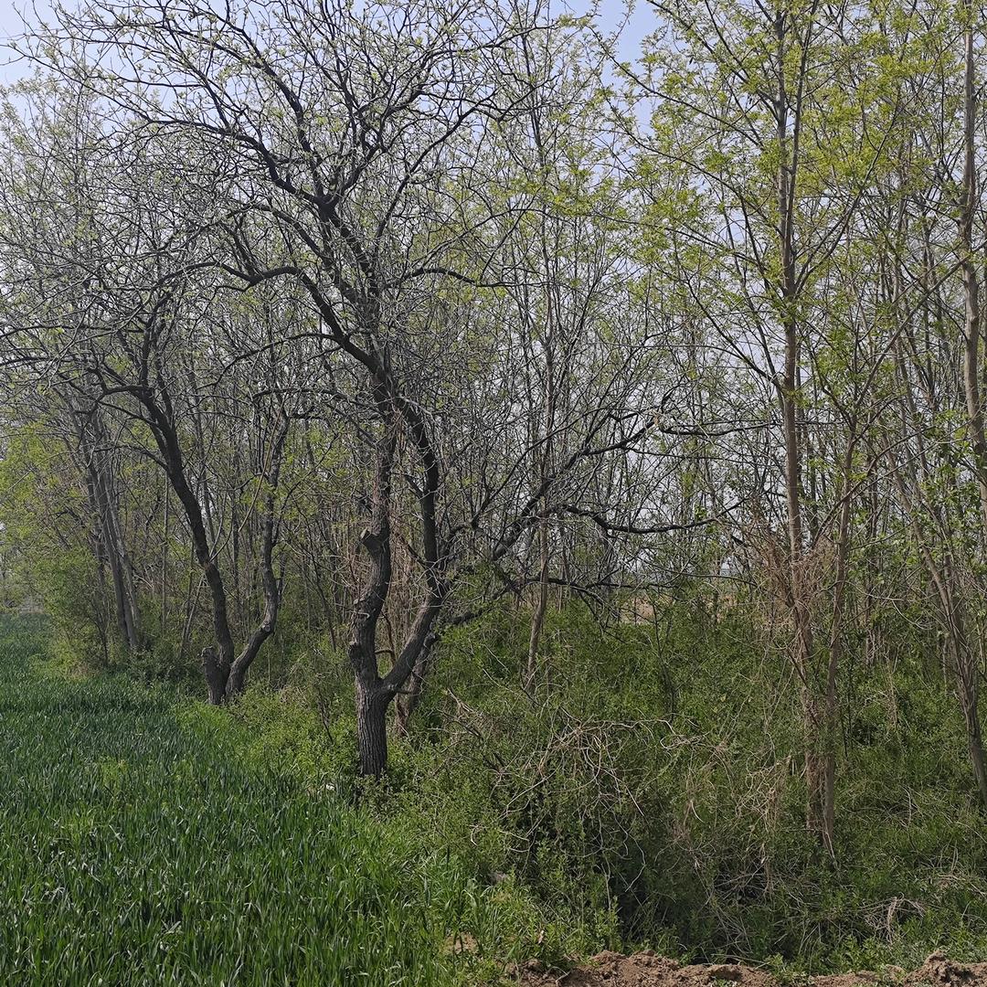 预制菜加热师