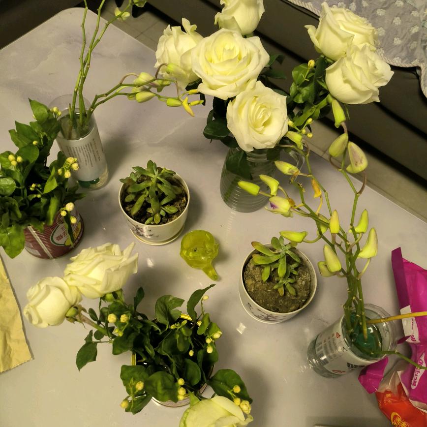 平安喜乐安康...