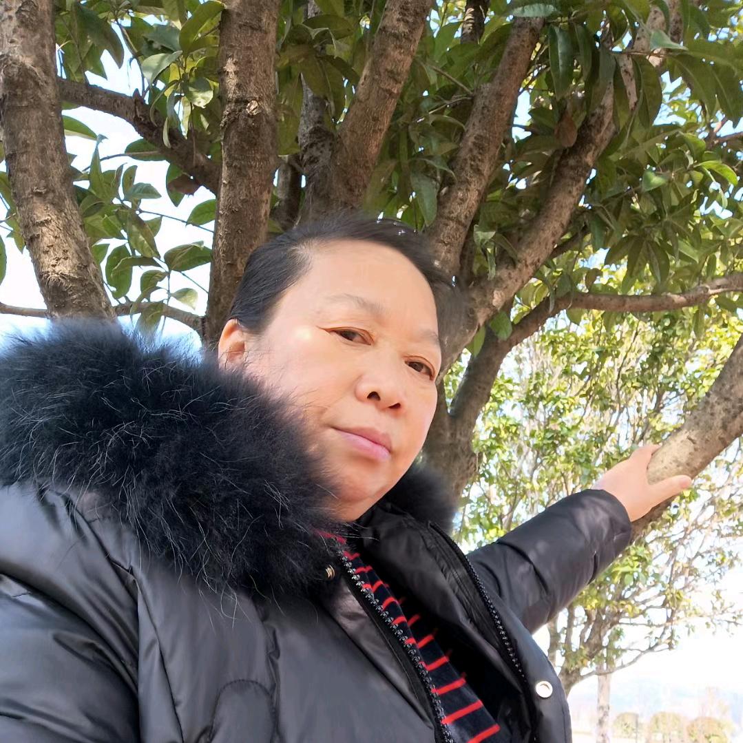 一抹心静