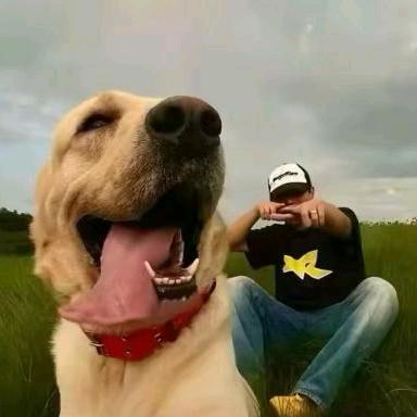 导演（俺的）一生