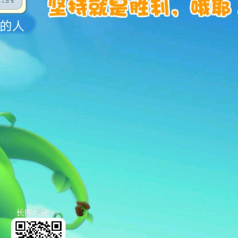 洲哥