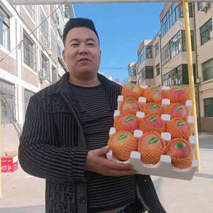 庆阳瑞雪红富士苹果库