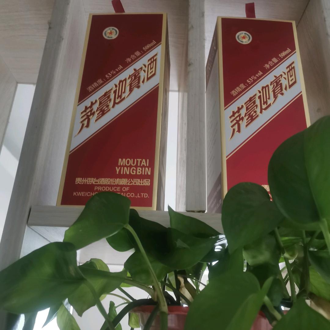 菏泽市老宋礼仪队全国接单九拜到108拜）