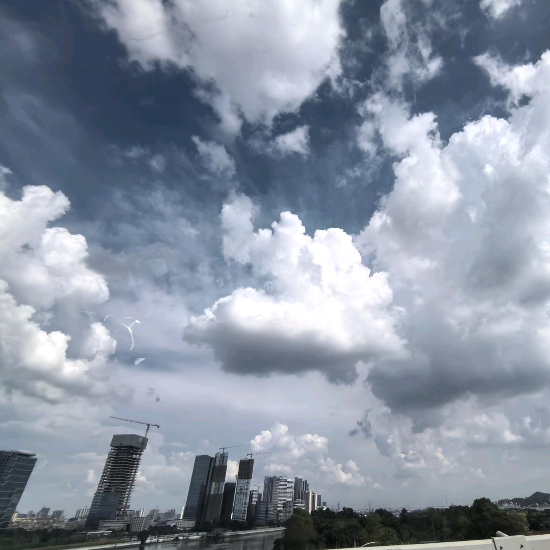 ꧁꫞💞可乐💞꫞꧂