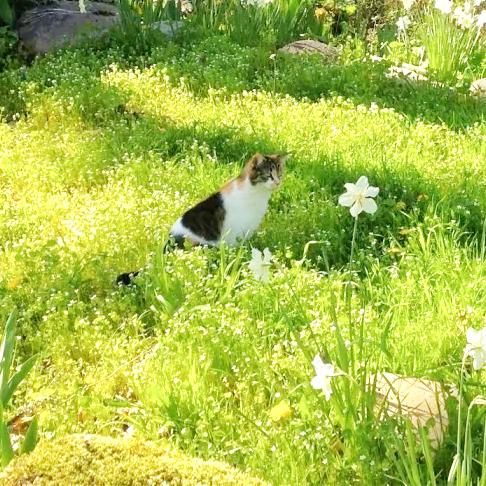 天天犯困的MissLi