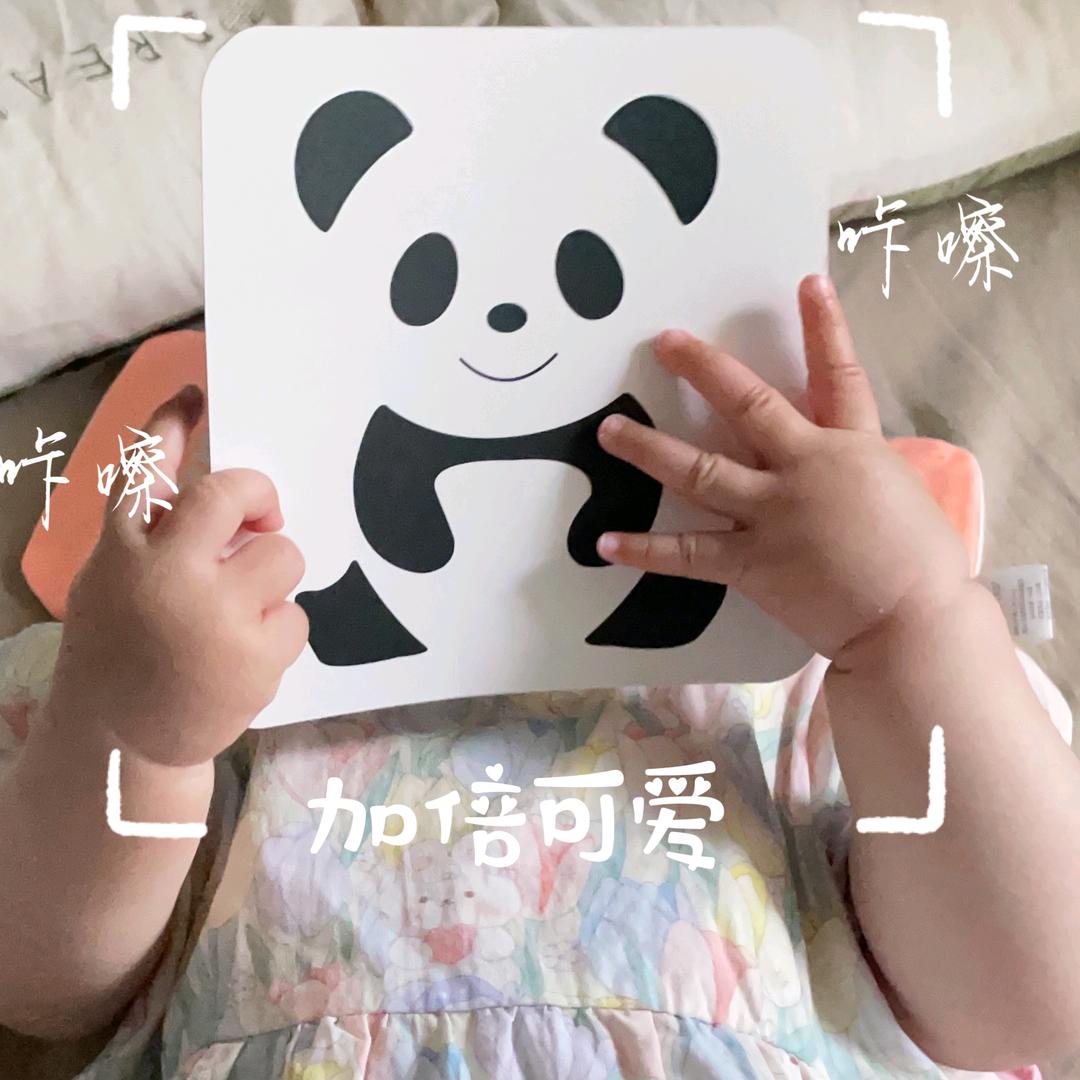 ᰔᩚ.偏爱李ꦿ